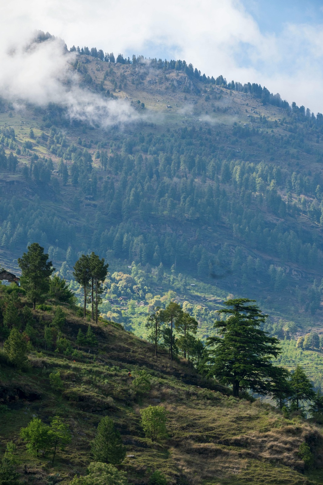 Dharamshala