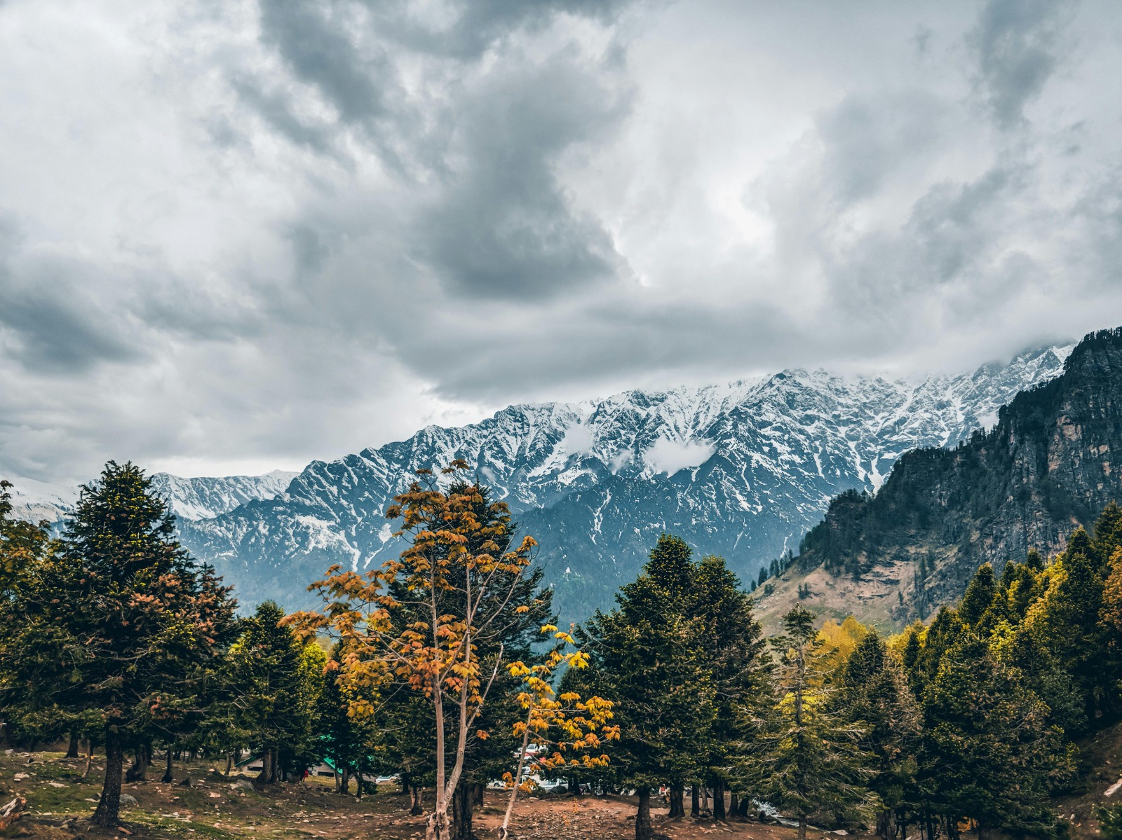 Shimla