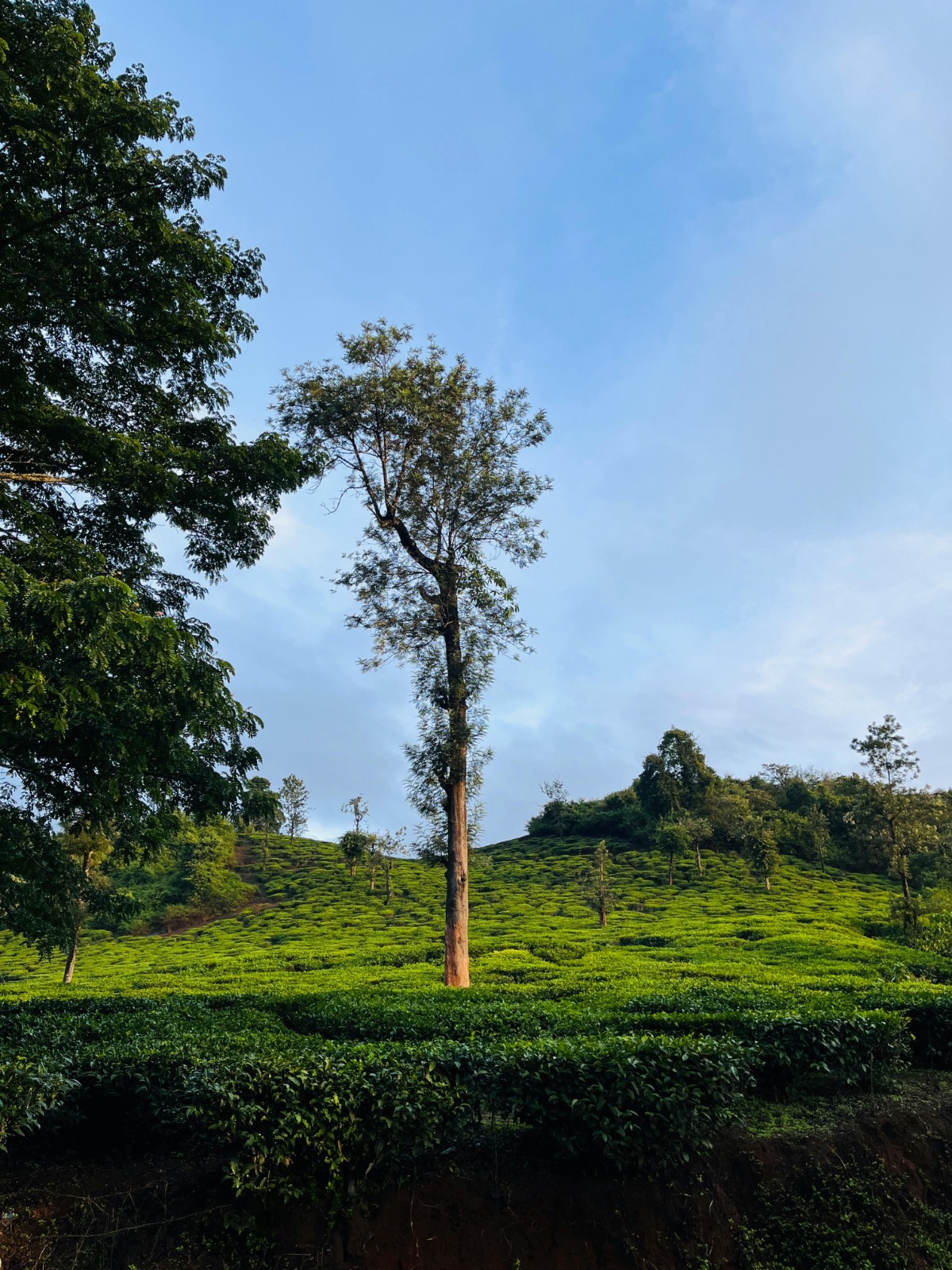 Munnar