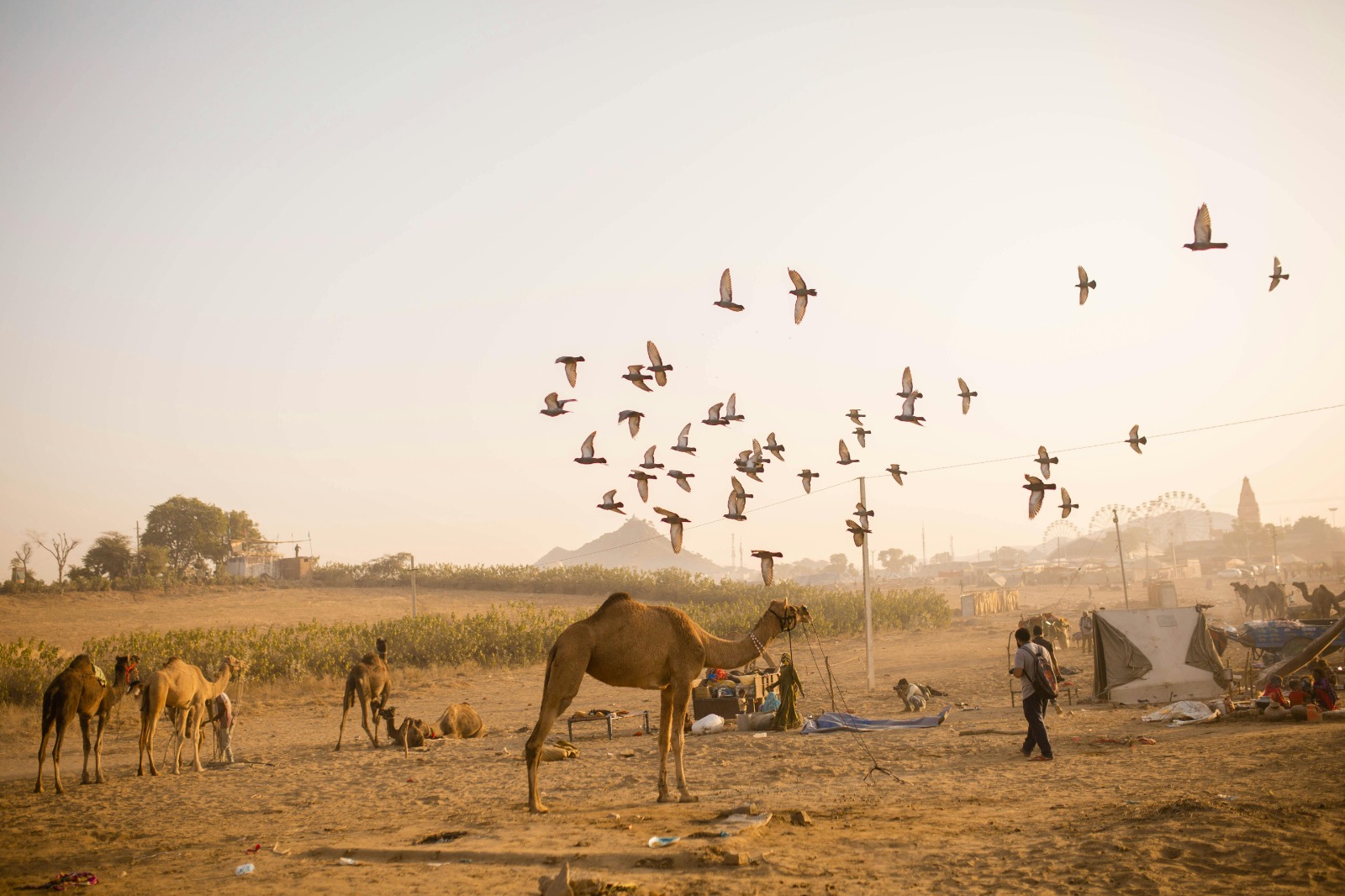 Jaisalmer